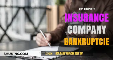Understanding the Rise of Property Insurance Company Bankruptcies