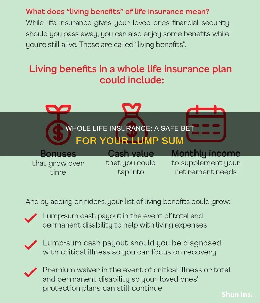 why put a lump sum into whole life insurance