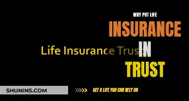 Life Insurance Trust: Protecting Your Family's Future