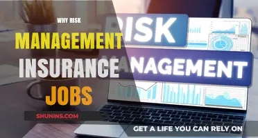 Risk Management Insurance Jobs: A Secure Future