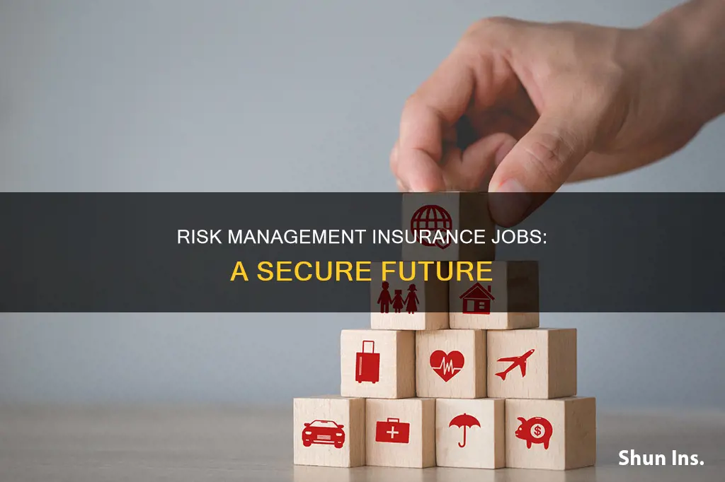 why risk management insurance jobs