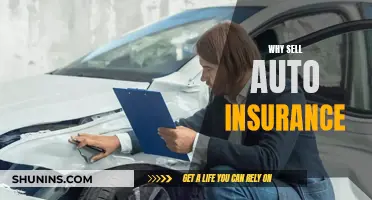 Auto Insurance: A Necessary Protection for Car Owners