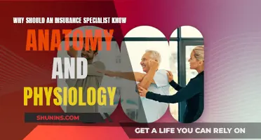 Understanding Anatomy: Vital for Insurance Specialists
