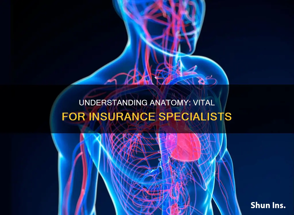 why should an insurance specialist know anatomy and physiology