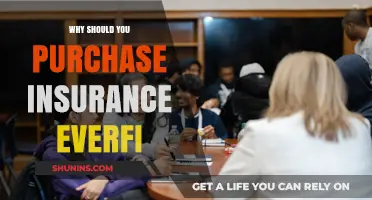 Secure Your Future: Why EverFi Insurance is a Smart Investment