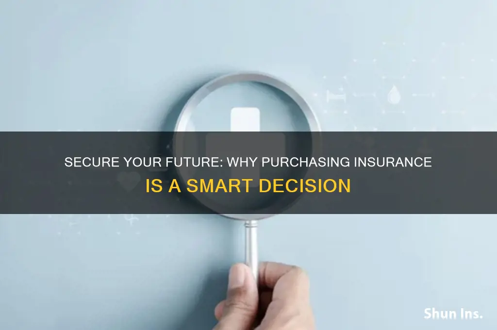 why should you purchase insurance