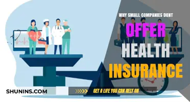 Why Small Businesses Often Skip Offering Health Insurance Benefits