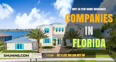 Florida's Home Insurance Crisis: Why So Few Providers Remain