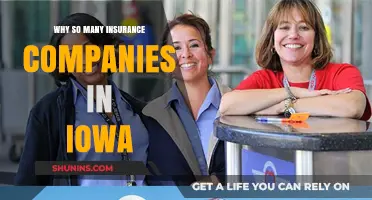 Iowa's Insurance Boom: Uncovering the State's Thriving Industry Secrets