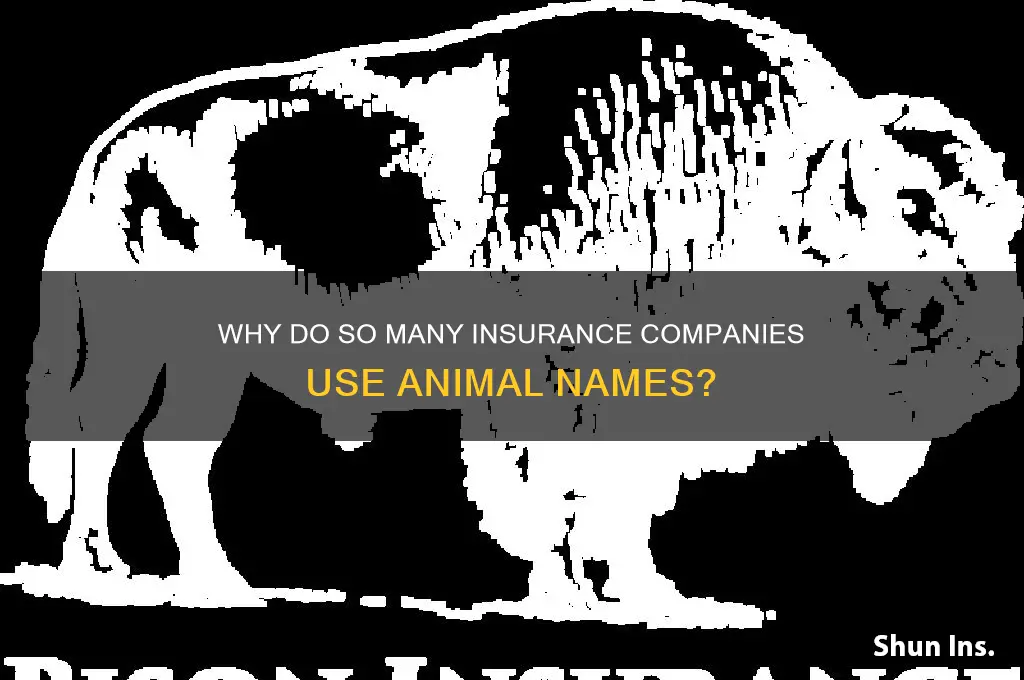 why so many insurance companies with animal names