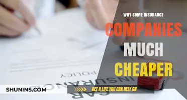 Why Some Insurance Companies Offer Much Cheaper Rates Than Others