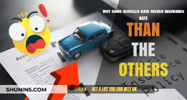 Vehicle Insurance Rates: What Makes Them Vary?