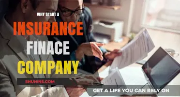 Unlocking Financial Security: Why Start an Insurance Finance Company Today