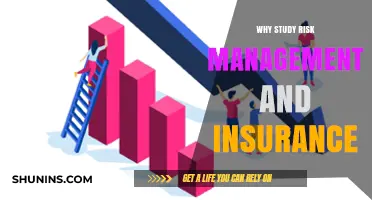 Risk Management and Insurance: Career Opportunities and Security