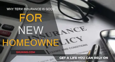 Term Insurance: New Homeowners' Best Friend