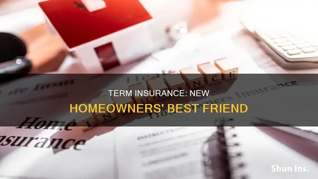 why term insurance is good for new homeowners