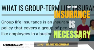 The Unspoken Necessity: Understanding the Vital Role of Term Insurance