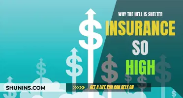 Sky-High Shelter Insurance: Unraveling the Cost Conundrum