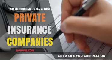 Why the U.S. Relies on a Private Insurance Company Boom