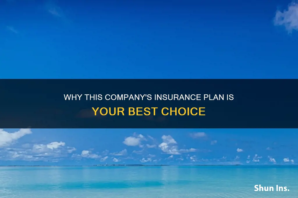 why this company insurance