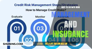 Risk Management: Insuring Your Future