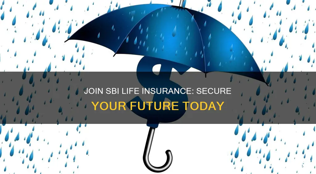 why to join sbi life insurance