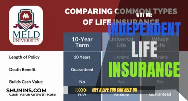 Unlock Financial Security: The Benefits of Independent Life Insurance