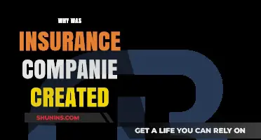 The Origins and Purpose of Insurance Companies Explained