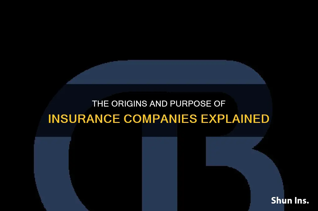 why was insurance companie created