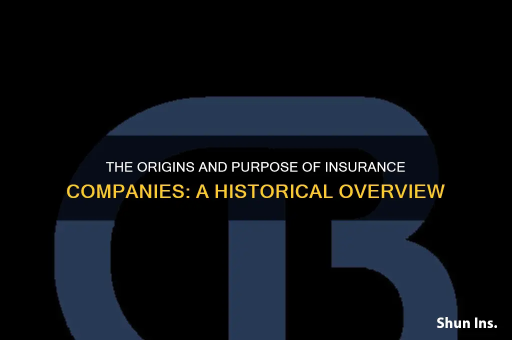 why was insurance companies institution created