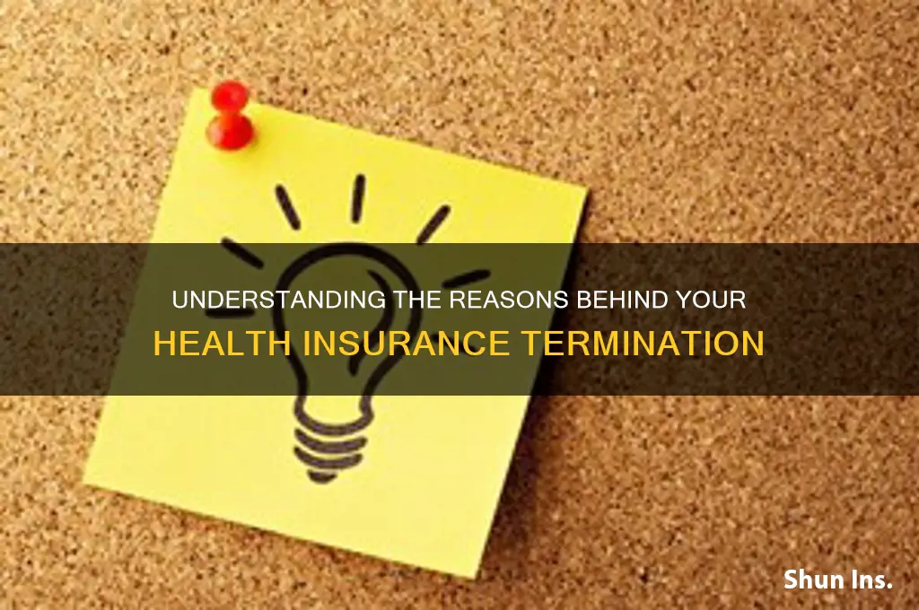 why was my health insurance terminated