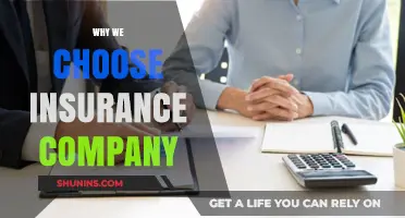 Why We Trust Insurance Companies: Key Factors in Our Decision