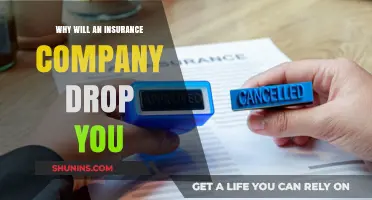 Why Insurance Companies Drop Policyholders: Key Reasons and Risks