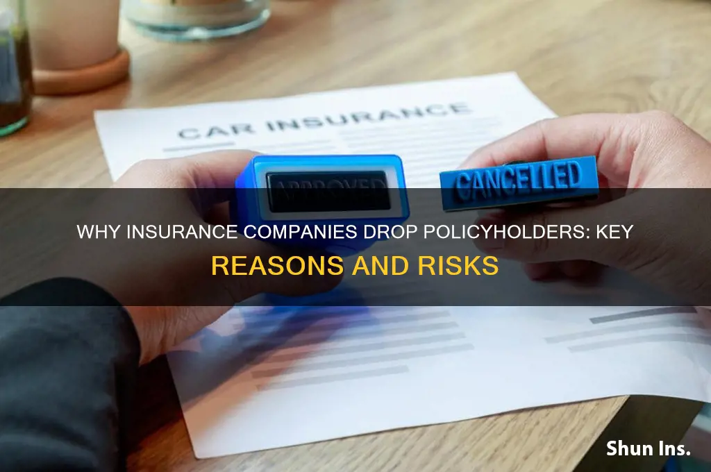 why will an insurance company drop you
