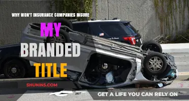 Why Insurance Companies Avoid Branded Title Vehicles: Key Reasons Explained