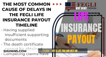 Life Insurance Payout Denied: Common Reasons and Solutions