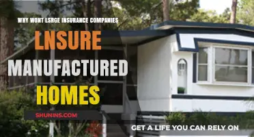 Why Large Insurers Avoid Covering Manufactured Homes: Key Factors Explained