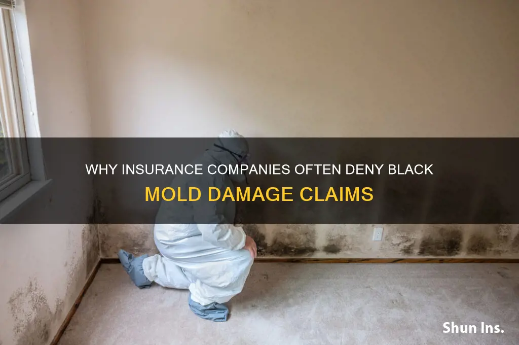 why wont my insurance company cover black mold damages
