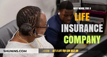 Why Choose a Career in Life Insurance: Benefits and Impact