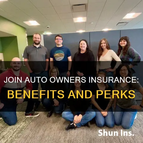 why work for auto owners insurance