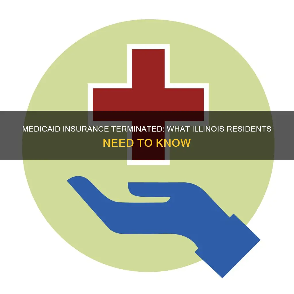why woul my illinois medicaid insurance be terminated
