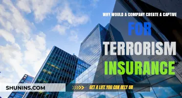 Why Companies Opt for Captives in Terrorism Insurance Coverage