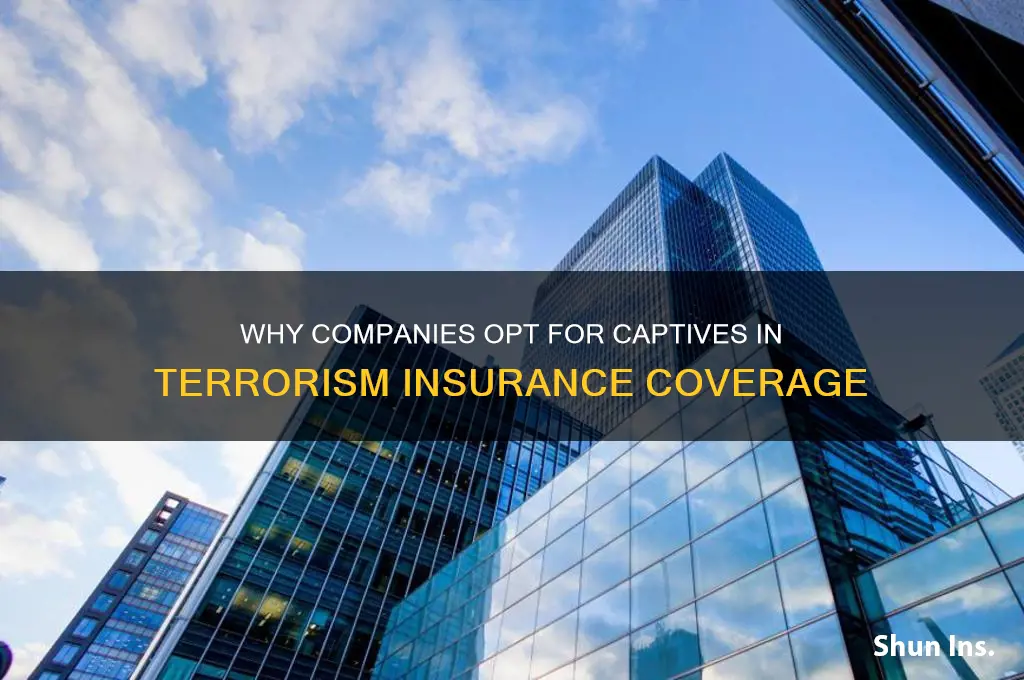 why would a company create a captive for terrorism insurance