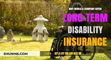 Why Companies Provide Long-Term Disability Insurance: Benefits and Insights