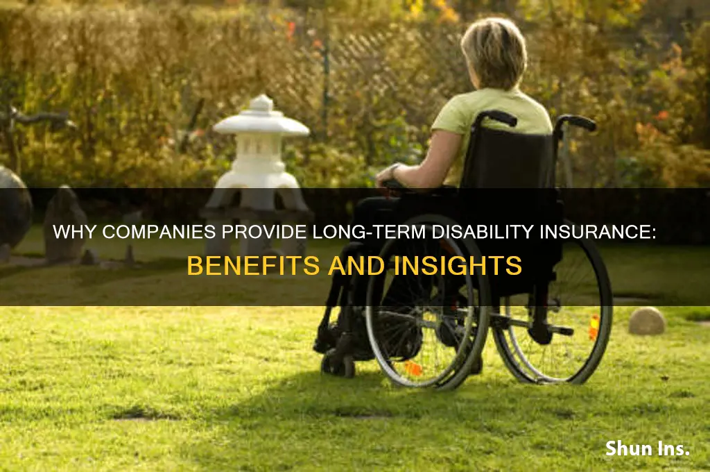 why would a company offer long-term disability insurance