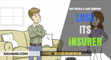 Why Loan Companies Risk Losing Their Insurers: Key Factors Explained