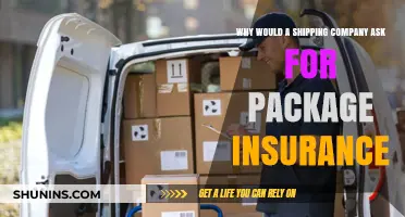 Why Shipping Companies Recommend Package Insurance for Safe Deliveries