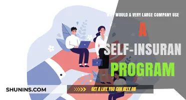 Why Large Companies Opt for Self-Insurance Programs: Key Benefits