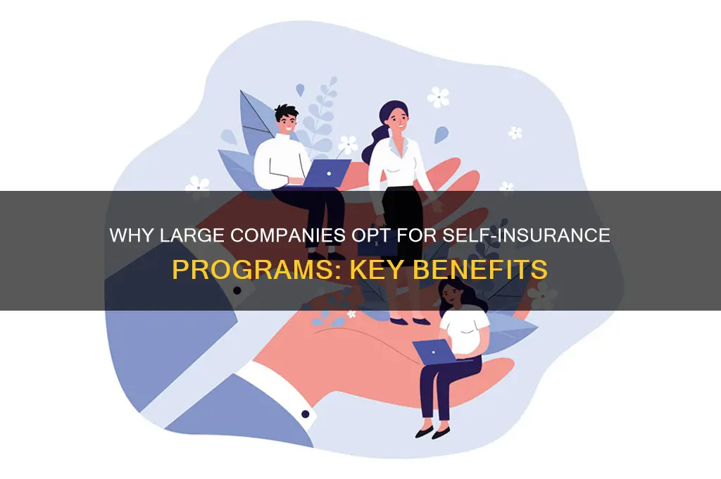 why would a very large company use a self-insurance program