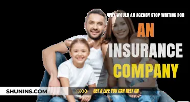 Why Agencies Stop Writing for Insurance Companies: Key Factors Explained